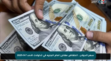 سعر الدولار.. انخفاض مفاجئ أمام الجنيه في تداولات الأحد 7-9-2025
